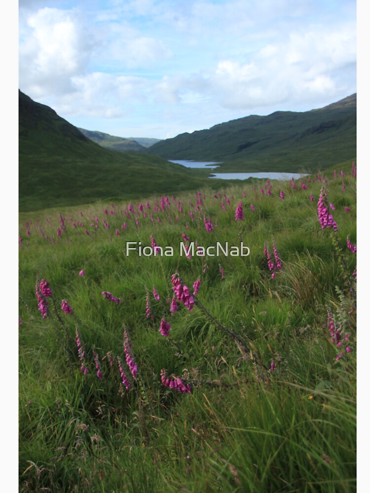 Field of foxgloves II by orcadia