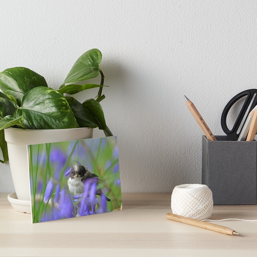 Bird in the blue Art Board Print