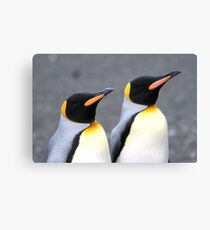 Penguin duo 1 Canvas Print