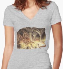 Bilbo and Smaug the Dragon Women's Fitted V-Neck T-Shirt