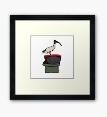 Bin Chicken Framed Print