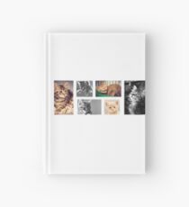 Kittens!!! Hardcover Journal
