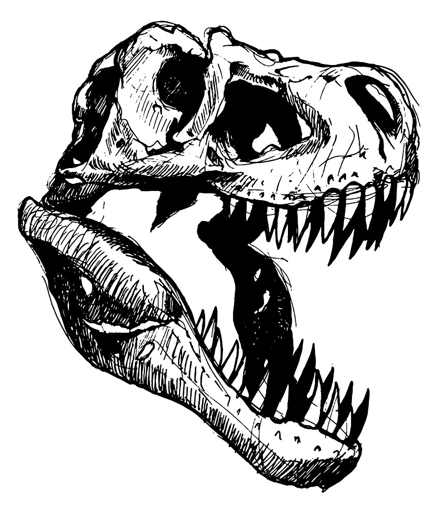 t rex skull cartoon