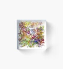 Crystal Frost 4 Acrylic Block