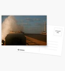 Getting Sprayed Postcards