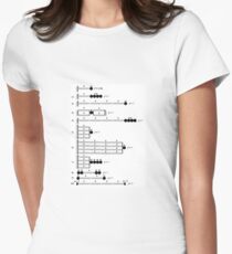Physics Problems: Spring Oscillation Women's Fitted T-Shirt