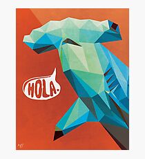 HOLA. Photographic Print