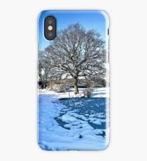 Snow Scene iPhone Case/Skin