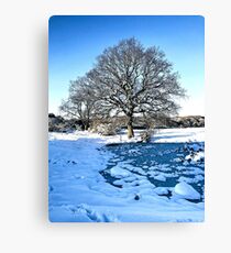Snow Scene Canvas Print