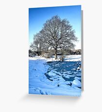 Snow Scene Greeting Card