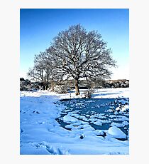 Snow Scene Photographic Print