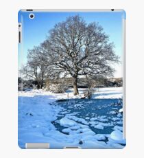 Snow Scene iPad Case/Skin