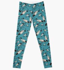 White Ibis / Bin Chickens Leggings