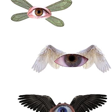 weirdcore eyes and wings | Art Board Print