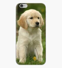 Golden Retriever! Puppy! iPhone Case