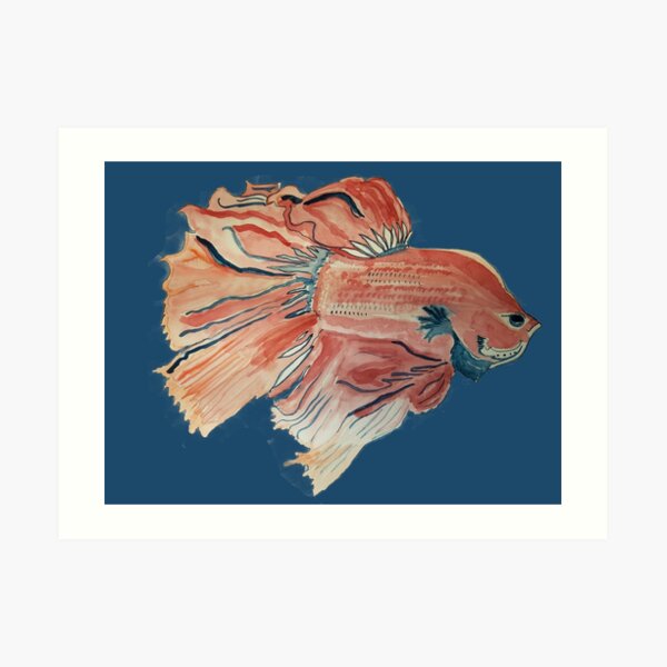 Original, Independent, Watercolor Betta Fish Art Print