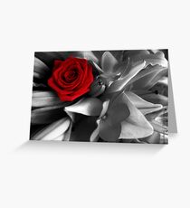 Rose Red Greeting Card