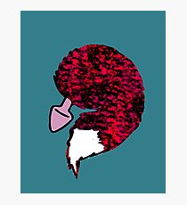 foxtail plug Photographic Print