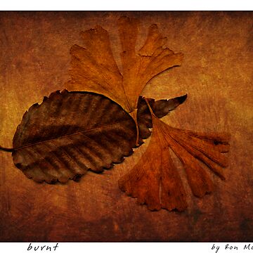 Artwork thumbnail, b u r n t by ronmoss