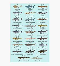 Shark Alphabet Photographic Print
