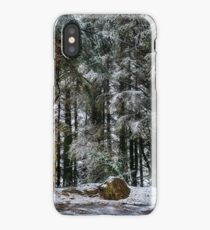 The Magic Kingdom iPhone Case/Skin