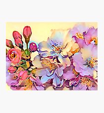 Orchards Photographic Print