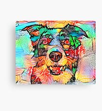 Collie Border Canvas Print