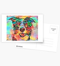 Collie Border Postcards