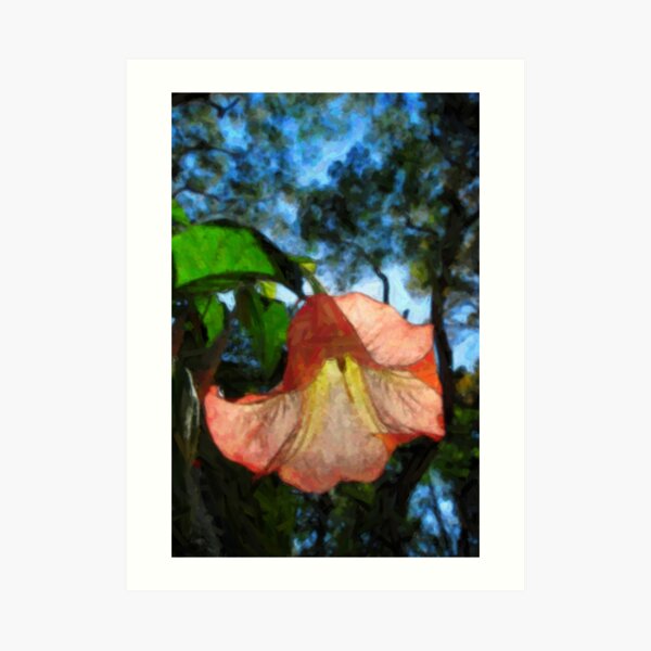 peach flower Art Print