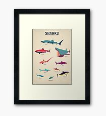 Sharks Framed Print