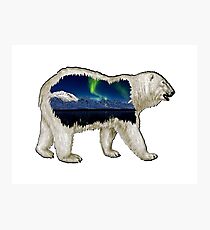 Polar Lights Photographic Print