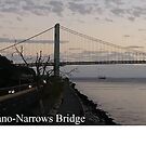 Verrazano-Narrows Bridge by znamenski