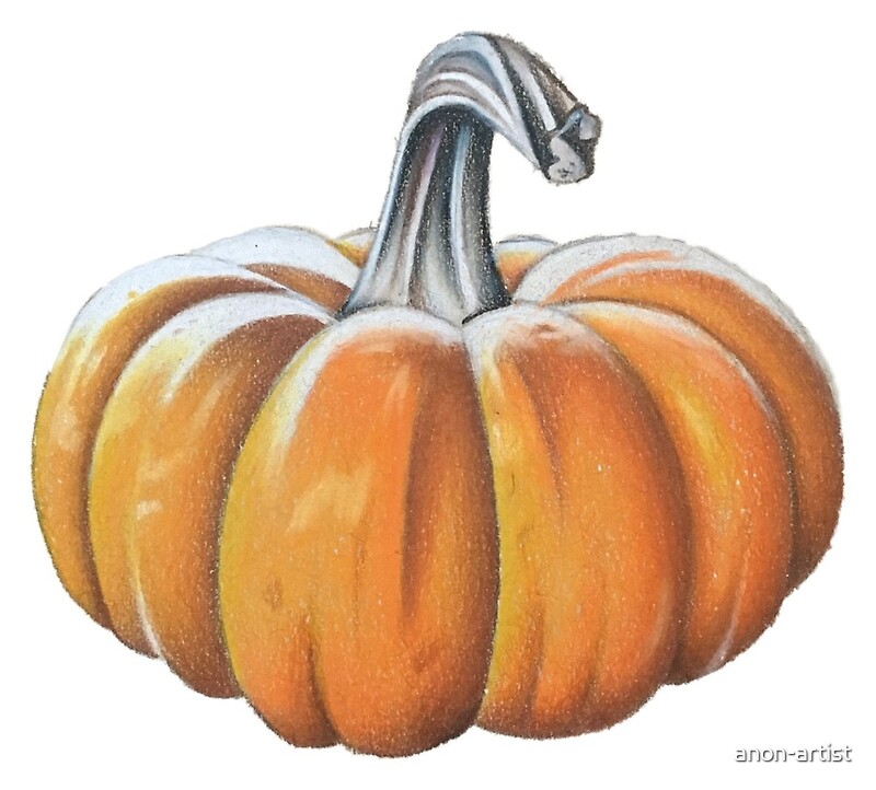 «Dibujo De Calabaza» De Anon-artist | Redbubble