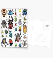 Beetle Collection Postcards