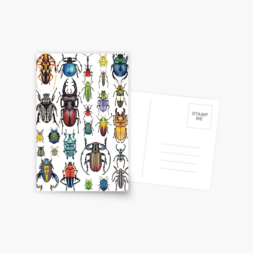 Beetle Collection Postcard
