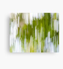 Bright Nature Sweep Canvas Print