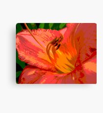 Day Lily Glow Canvas Print