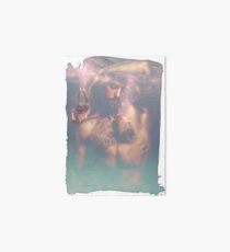 Lomography Art Board