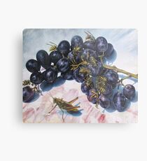 Grapes and Yellow Jackets Metal Print