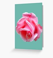 Pink rose Greeting Card