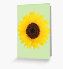 sunflower Greeting Card