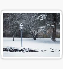 Snowstorm Sticker