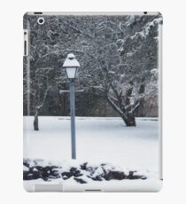 Snowstorm iPad Case/Skin