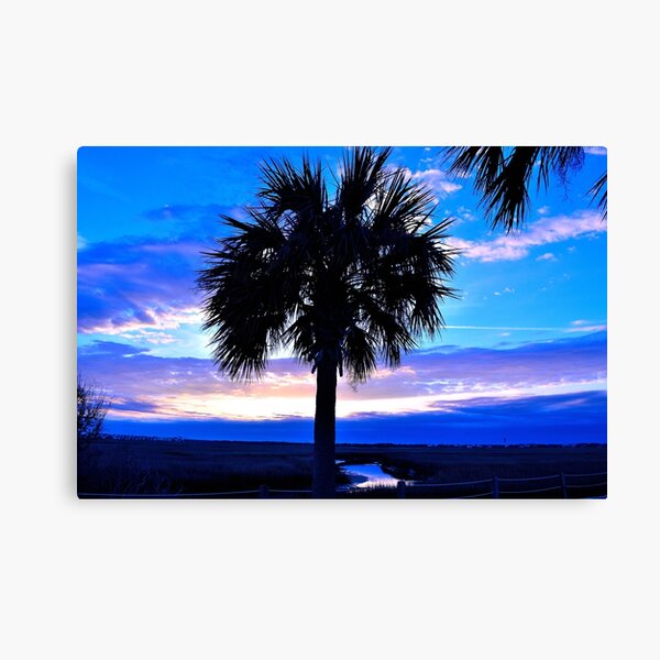 Blue Palm Canvas Print