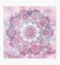 Dreams Mandala in Pink, Grey, and White Photographic Print