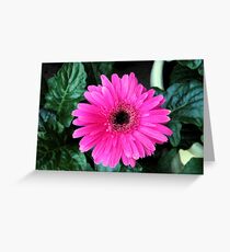 Untitled Greeting Card