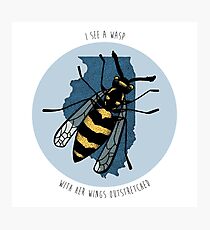 Sufjan Stevens Predatory Wasp Print Photographic Print