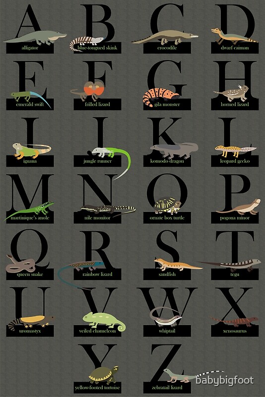 "Reptiles Alphabet" by babybigfoot | Redbubble