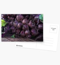 Fresh Organic Beets Postcards