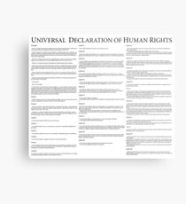 Universal Declaration of Human Rights Metalldruck